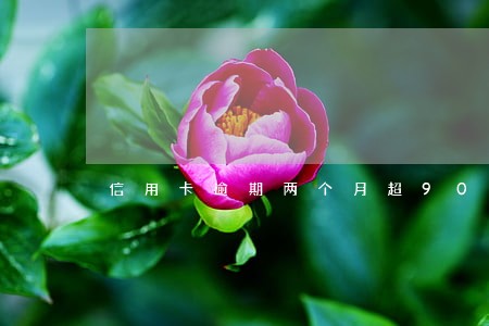 信用卡逾期两个月超90天