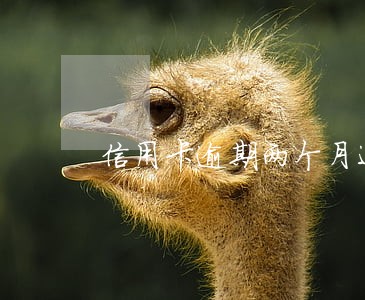 信用卡逾期两个月还上还能用吗 信用卡逾期两个月还上还能用吗