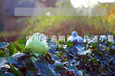 信用卡逾期两个月还了最低额度 信用卡逾期两个月还了最低额度