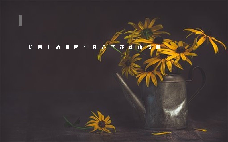 信用卡逾期两个月还了还能申请吗