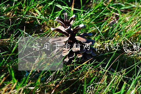 信用卡逾期两个月还完解冻不了
