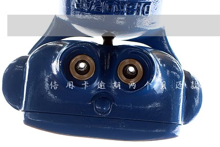 信用卡逾期两个月还款后果 信用卡逾期两个月还款后果