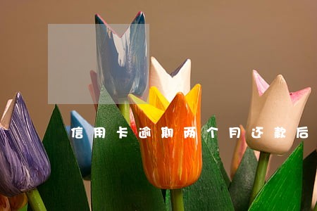 信用卡逾期两个月还款后还能刷吗 信用卡逾期两个月还款后还能刷吗