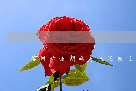 信用卡逾期两个月还款还能用吗