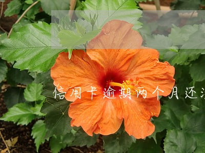 信用卡逾期两个月还没被冻结