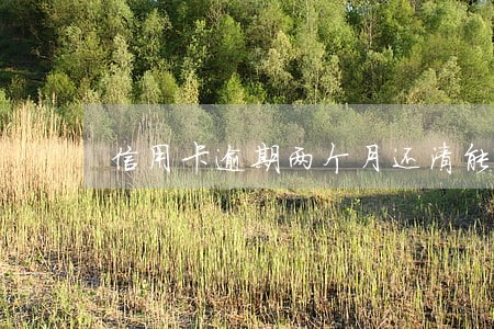 信用卡逾期两个月还清能用吗 信用卡逾期两个月还清能用吗