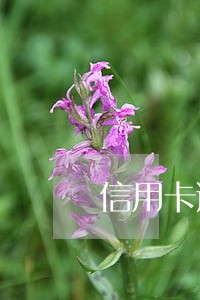 信用卡逾期两个月还能开卡吗 信用卡逾期两个月还能开卡吗