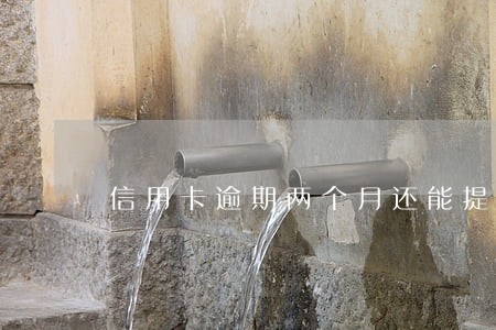 信用卡逾期两个月还能提额吗