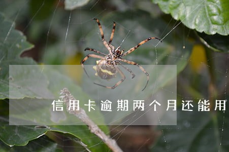 信用卡逾期两个月还能用