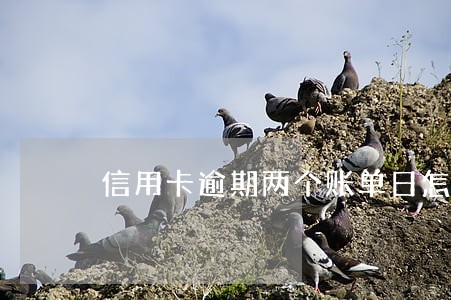 信用卡逾期两个账单日怎么办