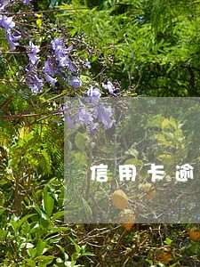 信用卡逾期两个还全款 信用卡逾期两个还全款
