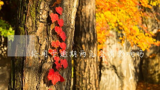 信用卡逾期两元会有影响吗 信用卡逾期两元会有影响吗