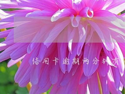信用卡逾期两分钟有问题吗 信用卡逾期两分钟有问题吗