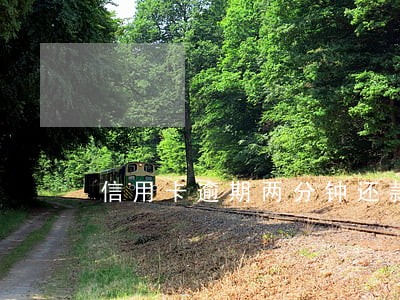 信用卡逾期两分钟还款 信用卡逾期两分钟还款