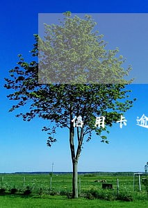 信用卡逾期两千会坐牢吗