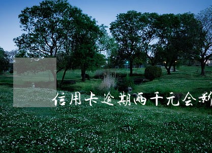 信用卡逾期两千元会影响征信吗 信用卡逾期两千元会影响征信吗