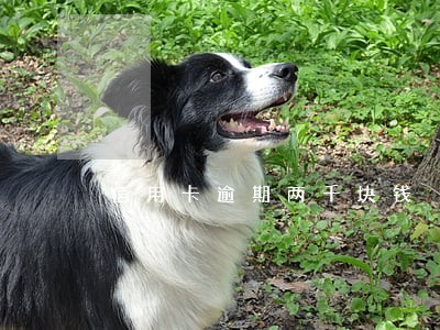 信用卡逾期两千块钱 信用卡逾期两千块钱