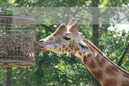 信用卡逾期两千多块钱