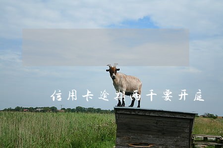 信用卡逾期两千要开庭