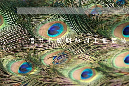 信用卡逾期两周上征信吗 信用卡逾期两周上征信吗