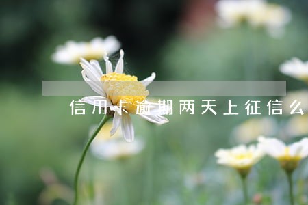 信用卡逾期两天上征信么
