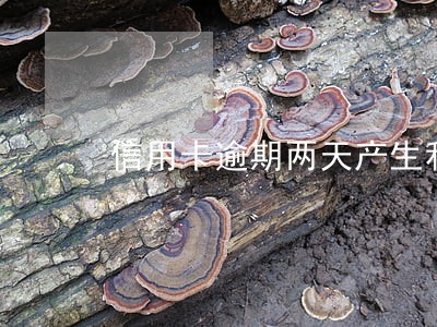 信用卡逾期两天产生利息 信用卡逾期两天产生利息