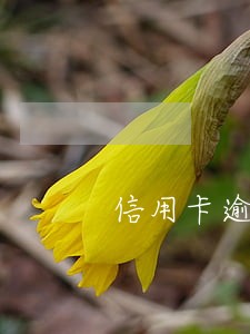 信用卡逾期两天会上征信 信用卡逾期两天会上征信