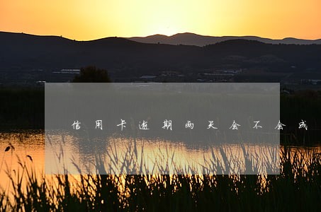 信用卡逾期两天会不会成黑户 信用卡逾期两天会不会成黑户