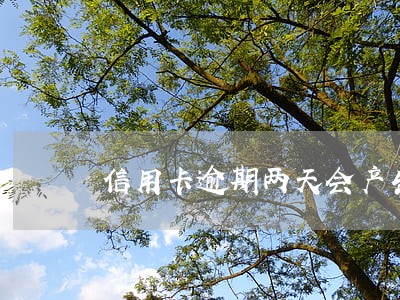 信用卡逾期两天会产生多少费用 信用卡逾期两天会产生多少费用