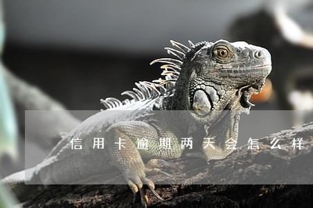 信用卡逾期两天会怎么样 信用卡逾期两天会怎么样