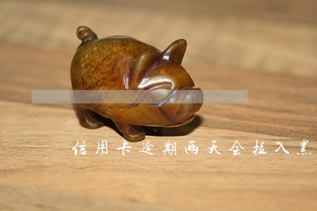 信用卡逾期两天会拉入黑名单吗 信用卡逾期两天会拉入黑名单吗