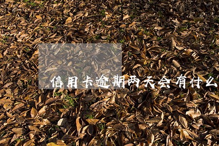 信用卡逾期两天会有什么影响吗 信用卡逾期两天会有什么影响吗