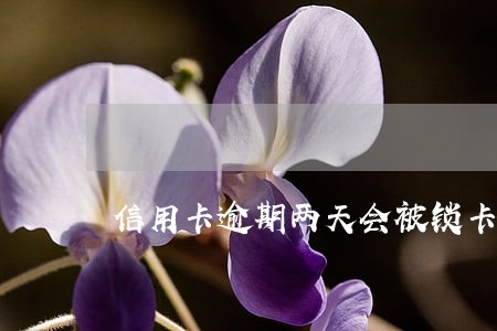 信用卡逾期两天会被锁卡吗