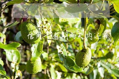 信用卡逾期两天内还款