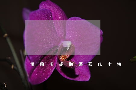 信用卡逾期两天几十块 信用卡逾期两天几十块