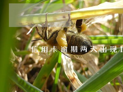 信用卡逾期两天出现1200元 信用卡逾期两天出现1200元