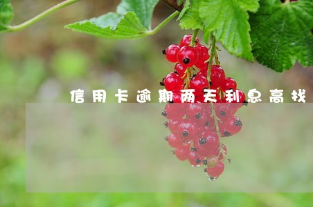 信用卡逾期两天利息高找谁投诉
