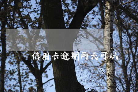 信用卡逾期两天可以