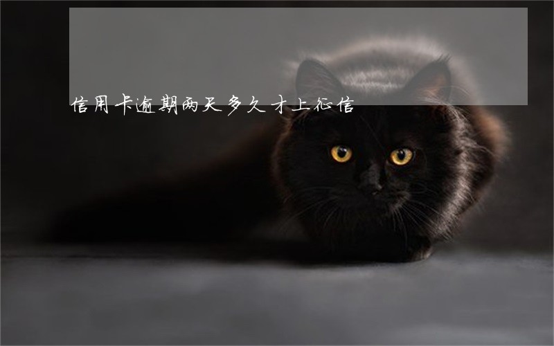 信用卡逾期两天多久才上征信