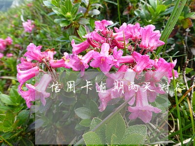 信用卡逾期两天对征信有什么影响