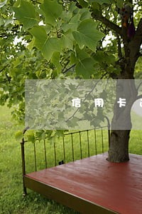 信用卡逾期两天影响