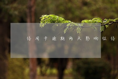 信用卡逾期两天影响征信么 信用卡逾期两天影响征信么