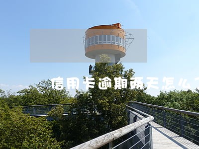 信用卡逾期两天怎么了 信用卡逾期两天怎么了