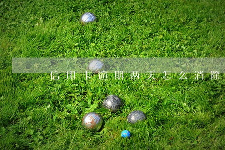 信用卡逾期两天怎么消除 信用卡逾期两天怎么消除