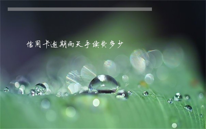 信用卡逾期两天手续费多少 信用卡逾期两天手续费多少