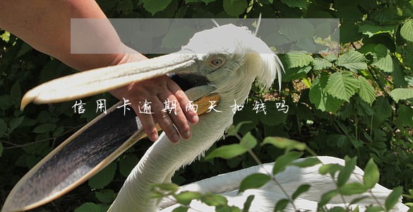 信用卡逾期两天扣钱吗 信用卡逾期两天扣钱吗