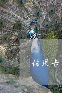 信用卡逾期两天有什么影响