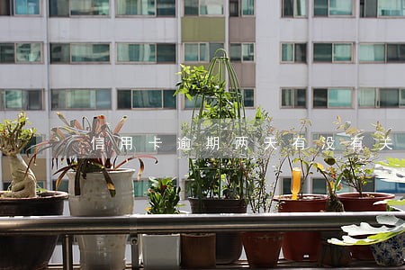 信用卡逾期两天有没有关系 信用卡逾期两天有没有关系