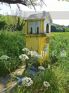 信用卡逾期两天没额度了 信用卡逾期两天没额度了