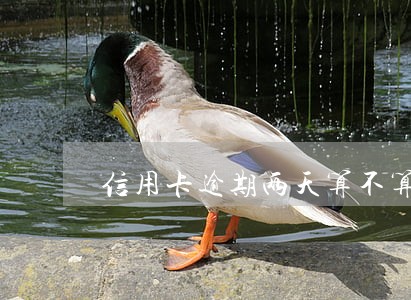 信用卡逾期两天算不算黑户 信用卡逾期两天算不算黑户